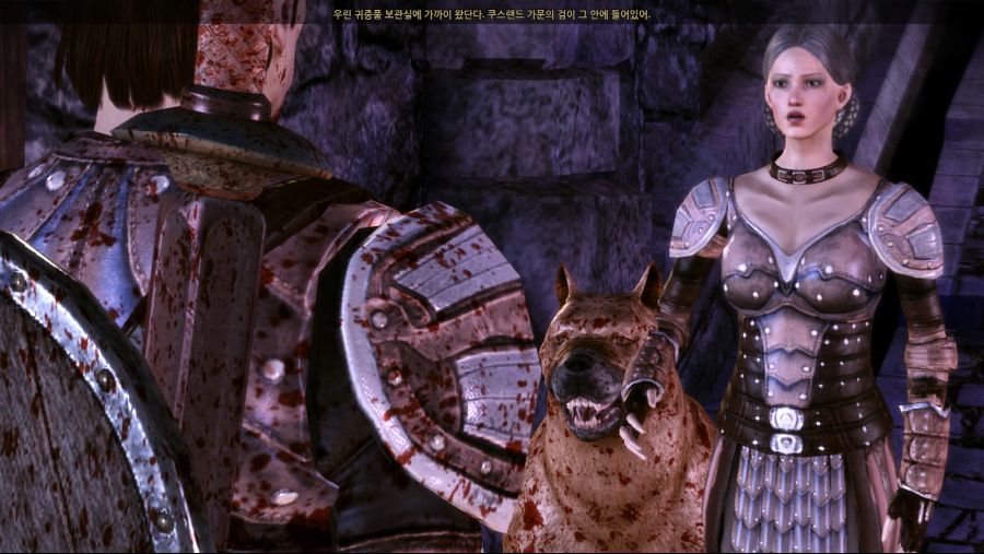 드래곤 에이지 오리진스_34.jpg