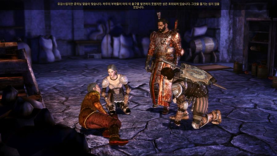 드래곤 에이지 오리진스_38.jpg