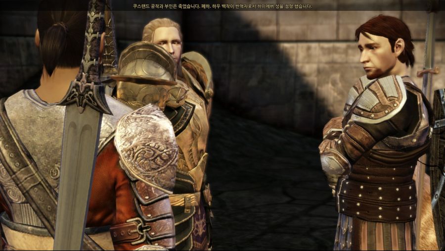 드래곤 에이지 오리진스_44.jpg