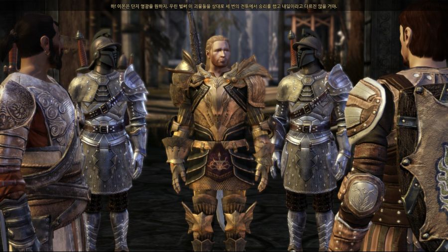 드래곤 에이지 오리진스_46.jpg