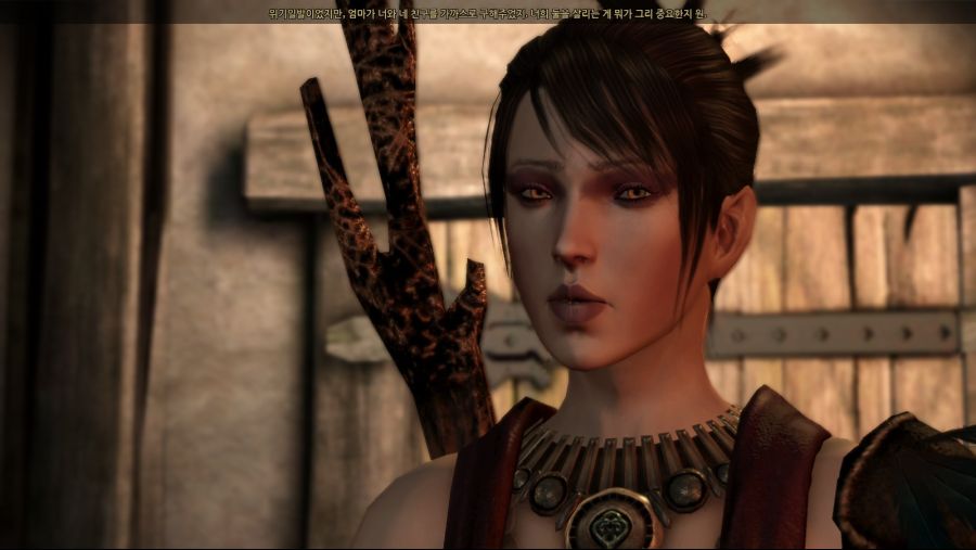 드래곤 에이지 오리진스_77.jpg