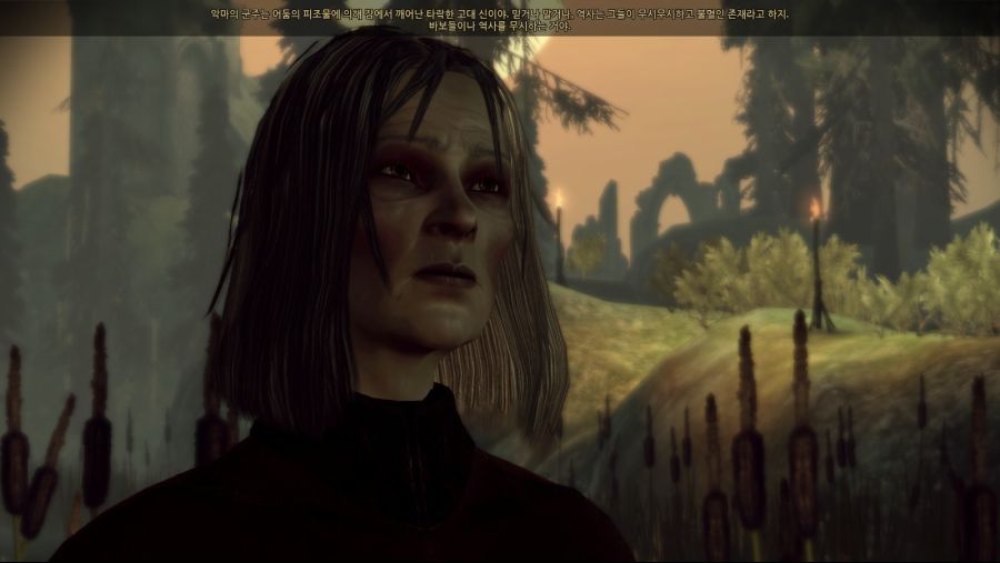 드래곤 에이지 오리진스_79.jpg