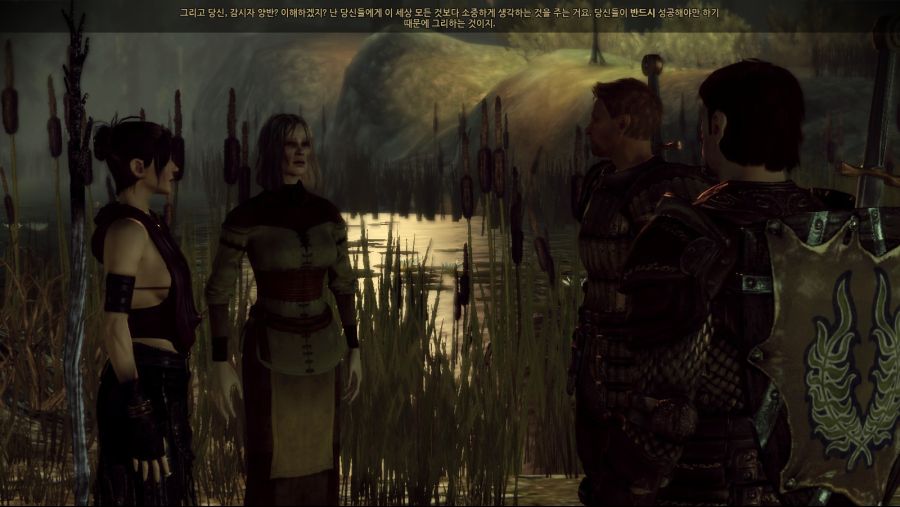 드래곤 에이지 오리진스_82.jpg