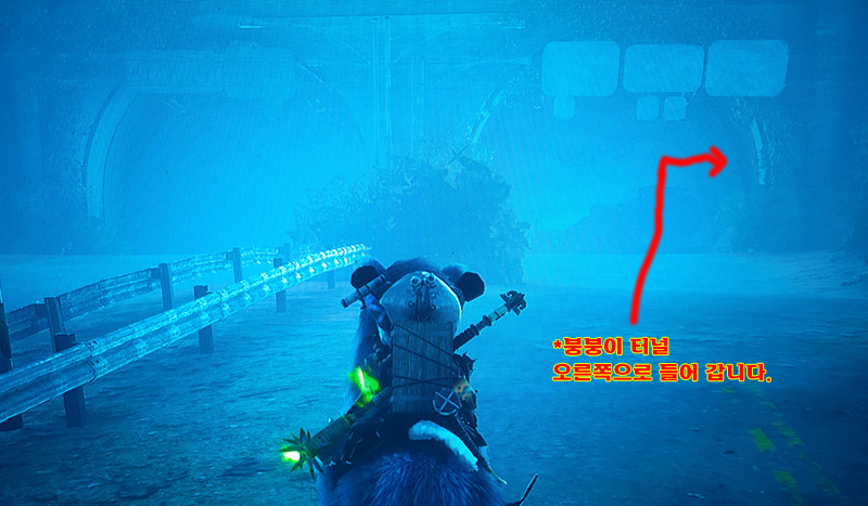 노코의 탈것 2마리&고대바지?(정보)_8.jpg