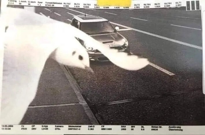 이번 한번만 도와드리는 겁니다._1.jpg