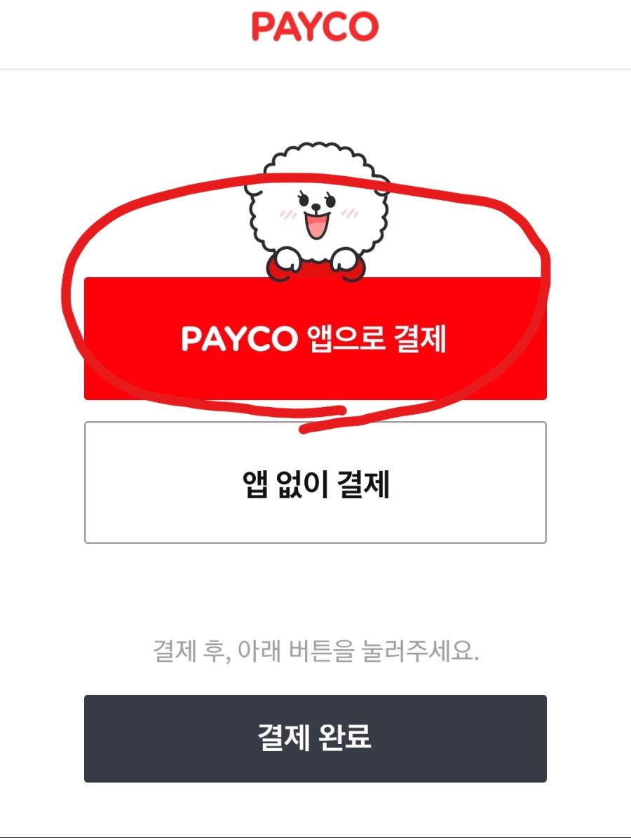 [펀샵/페이코] 젤다의전설 스카이워드 게임/조이콘(50,830/72,080)_11.jpg
