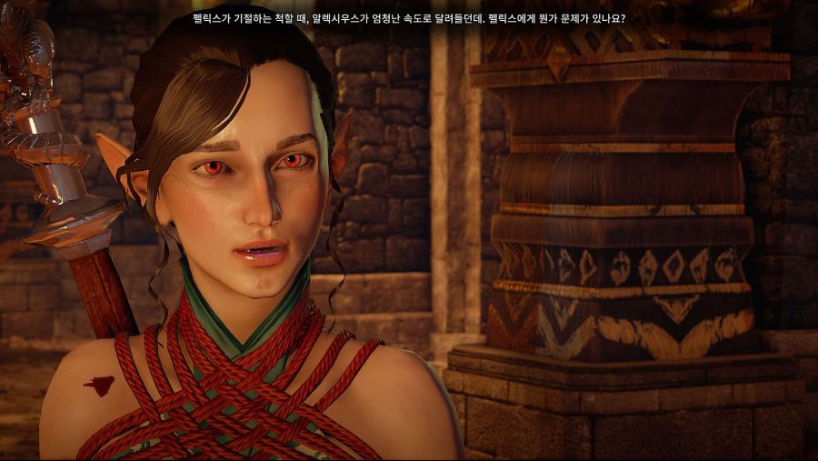 수정됨_Dragon Age Inquisition Screenshot 2021.06.11 - 16.36.41.16.jpg