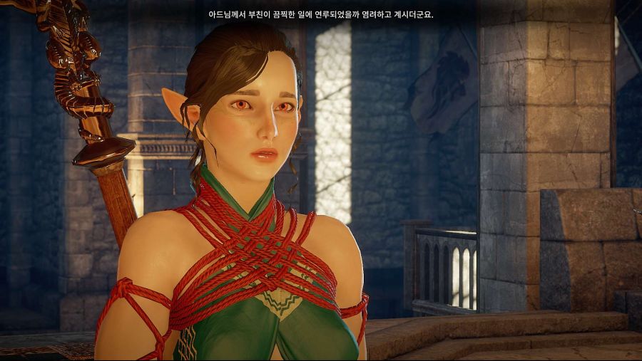 수정됨_Dragon Age Inquisition Screenshot 2021.06.11 - 19.38.37.35.jpg