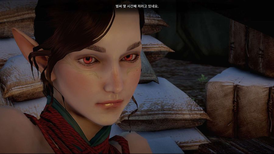 수정됨_Dragon Age Inquisition Screenshot 2021.06.11 - 22.21.16.99.jpg