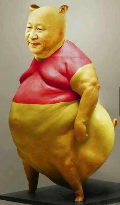 비1238 이미지
