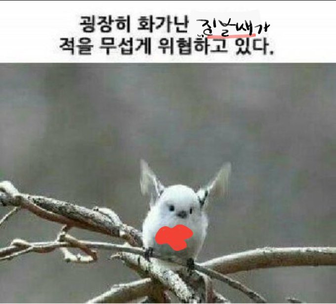 로보토미,라오루) 직원들이 징벌새한테 종종 맞아죽던 이유_2.jpg