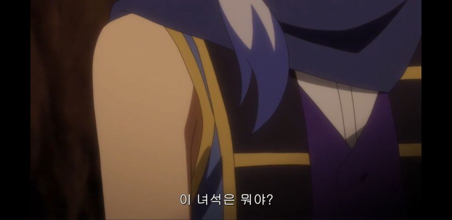 [전투원, 파견합니다!] 이 호랑이 기운의 등짝에 축복을!_28.jpg