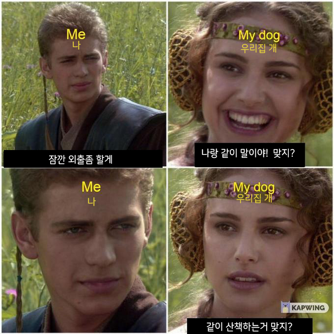 아나킨밈1.jpg