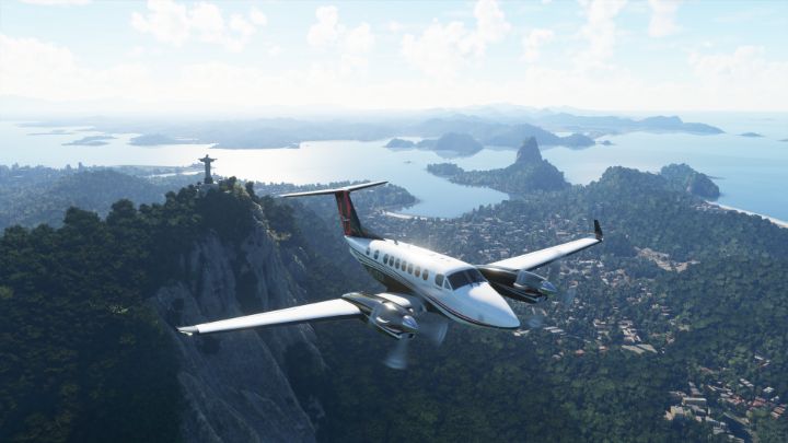 Microsoft Flight Simulator.jpg