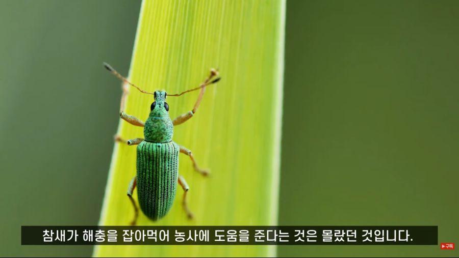 중국 광장이나 공원에 춤 추는 사람들이 많은 이유_143.png