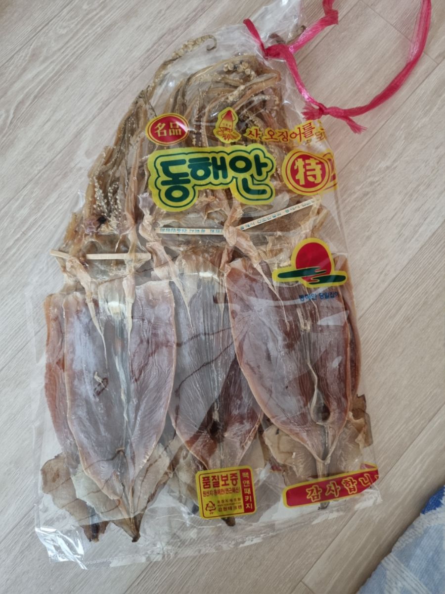 돌고래 오징어 와뜨아~ | 정치유머 게시판 돌고래 오징어 와뜨아~ | 정치유머 게시판 | 루리웹