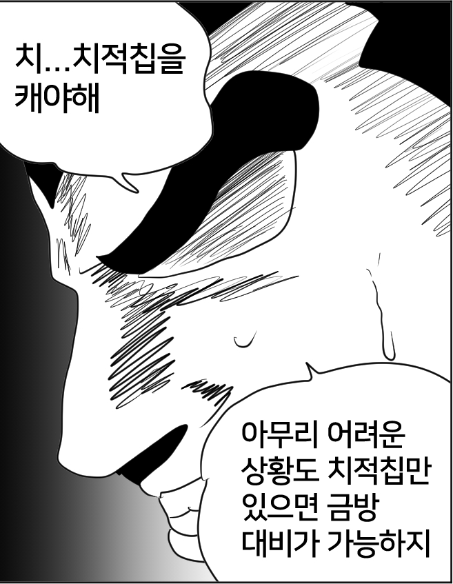 치적칩.jpg