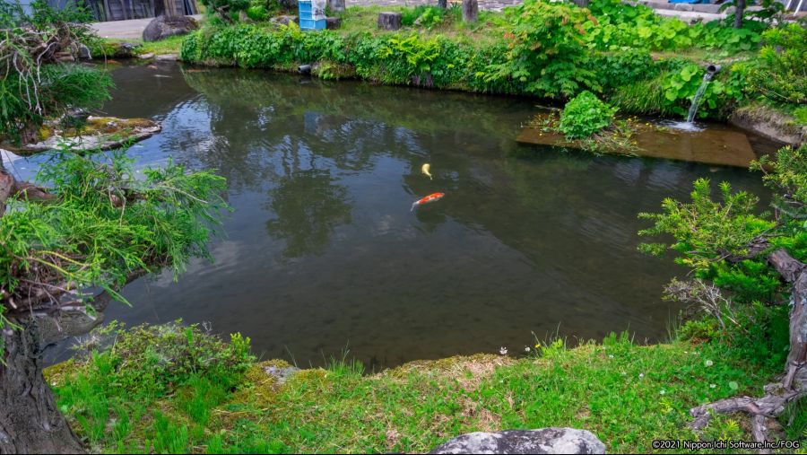 風雨来記4_20210718140816.jpg