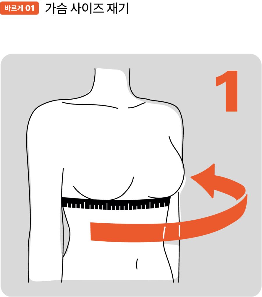 가슴 사이즈 측정하는 법 + manga_3.jpg