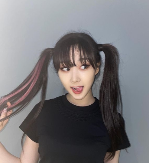 넥스트정보 이미지