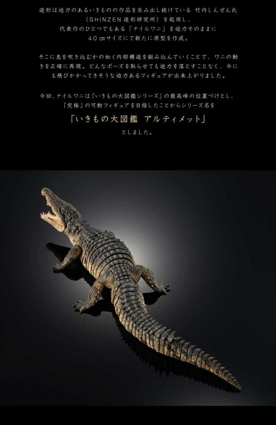 20210805_animalpicturebookultimate_nilecrocodile_xldjcd_04.jpg