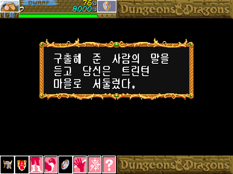 던전 앤 드래곤 섀도우 오버 미스타라 한글판_16.jpg