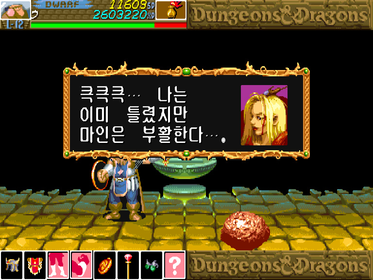 던전 앤 드래곤 섀도우 오버 미스타라 한글판_79.jpg