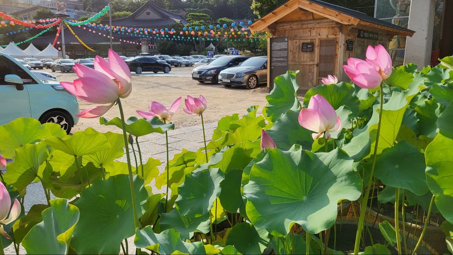 갤럭시 Z 플립 3,갤럭시워치 4 갤럭시 사용 소감입니다._18.jpg