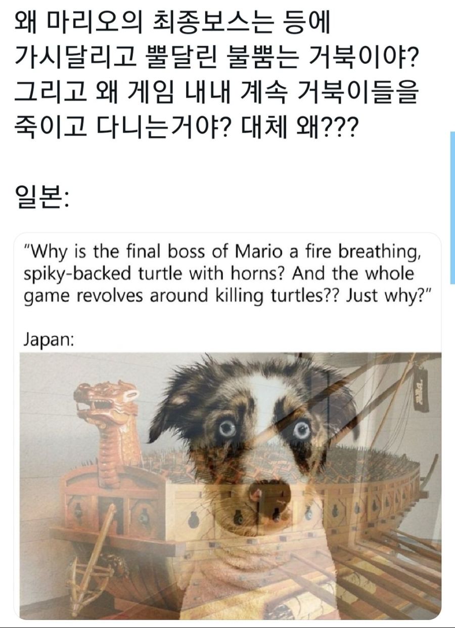"마리오는 왜 불뿜는 거북이랑 싸우는거야?".jpg_1.jpg