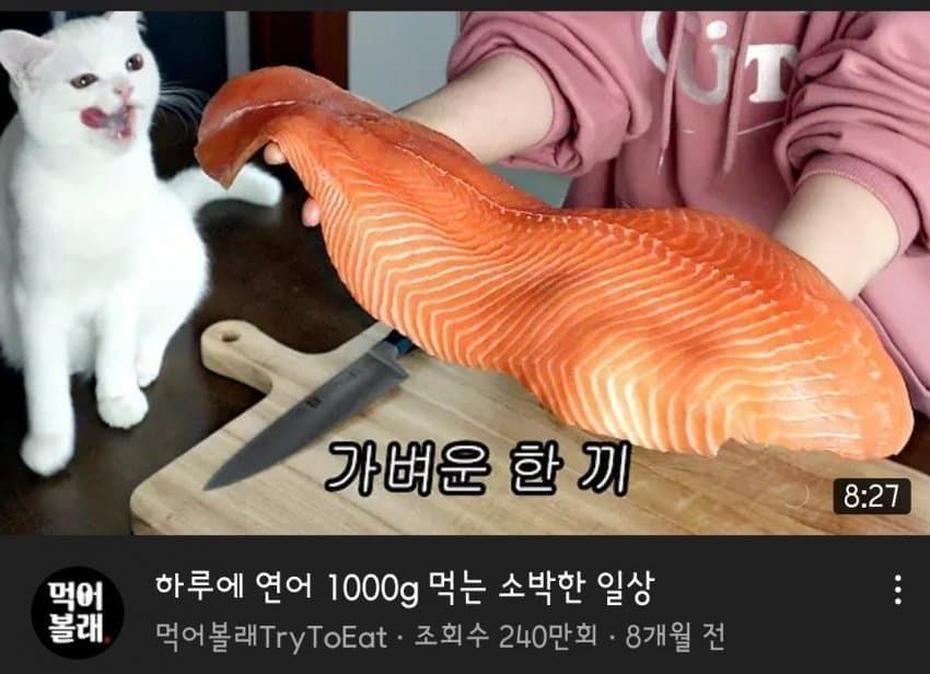 입맛다시는 썸네일.jpg | 유머 게시판 입맛다시는 썸네일.jpg | 유머 게시판 | 루리웹
