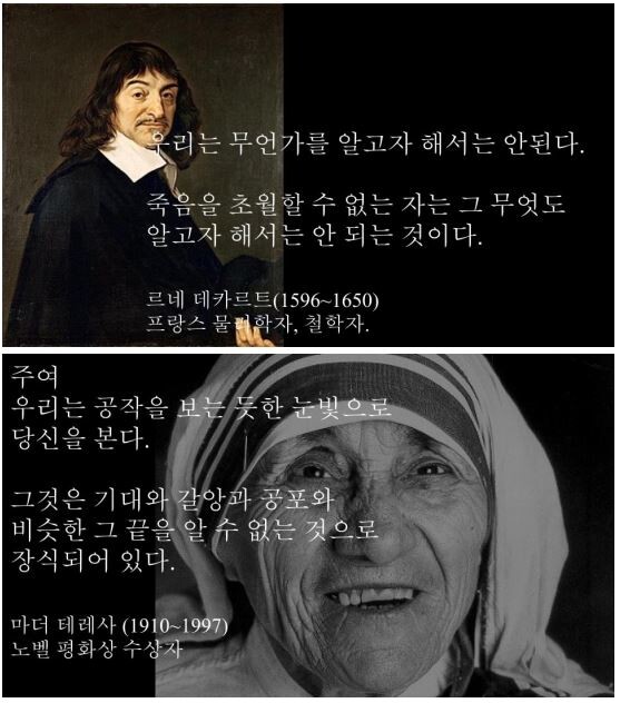 유명인들의 명언 모음_3.jpg