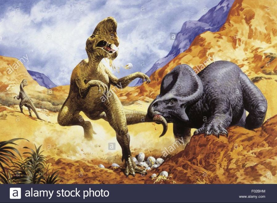 palaeozoology-cretaceous-period-dinosaurs-oviraptor-left-and-protoceratops-F02BHM.jpg