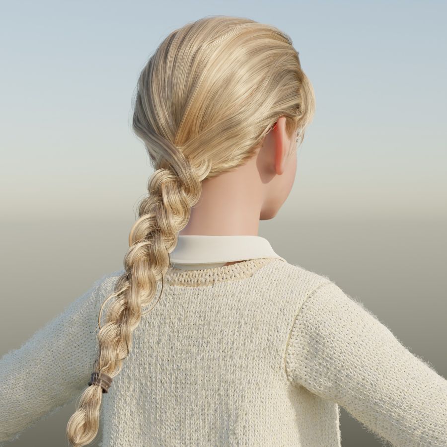 char_2surface_4hair_3braid.jpg