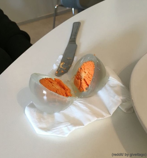 펭귄 고기를 .. 아무도 안먹는 이유.jpg_5.jpg