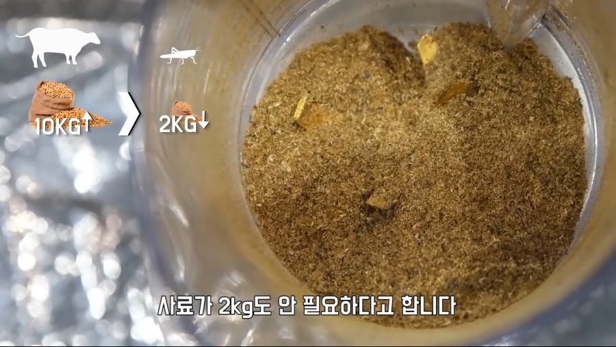 대한민국 큰일났다고 외치다 침묵하는 유튜버_10.png