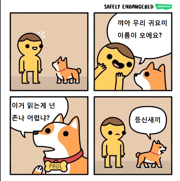 17bb5c02780540fbb.png