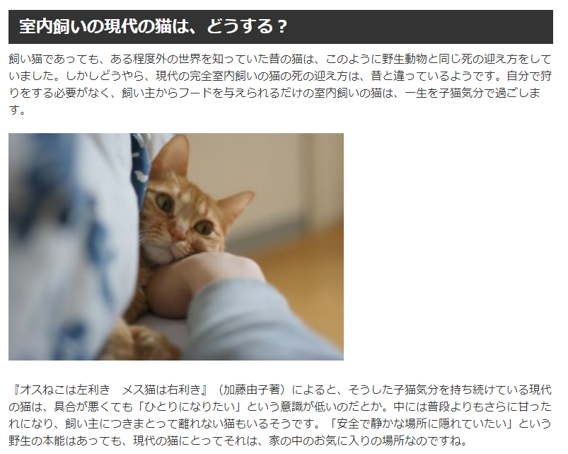 고양이가 죽기 전에 필사적으로 몸을 감추려는 이유.jpg_2.png