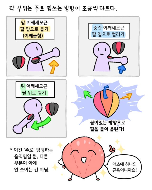 까면서 보는 해부학 만화 특별 편 ~백신 근육통~_005.jpg