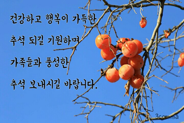 피자 열판 쏘겠습니다 ^^~_1.jpg