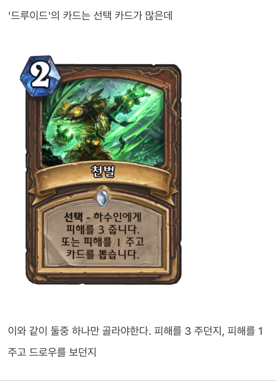 판드랄추에 대해 알아보자_3.jpeg