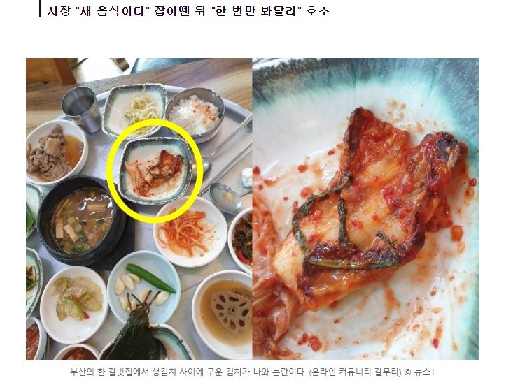 재사용김치 걸린 부산식당 | 유머 게시판 재사용김치 걸린 부산식당 | 유머 게시판 | 루리웹