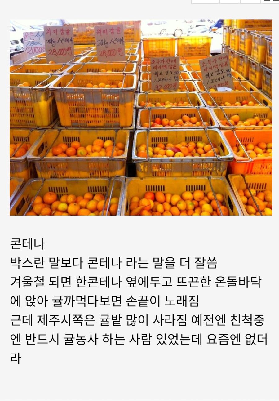 제주도에만 있는 문화 .JPG_5.png