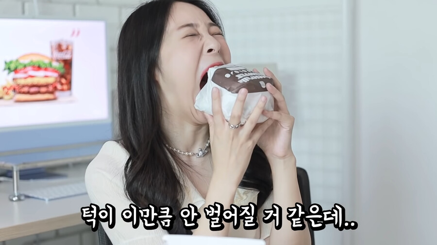 유튜버 IT유튜버한테 광고를 준 버거킹