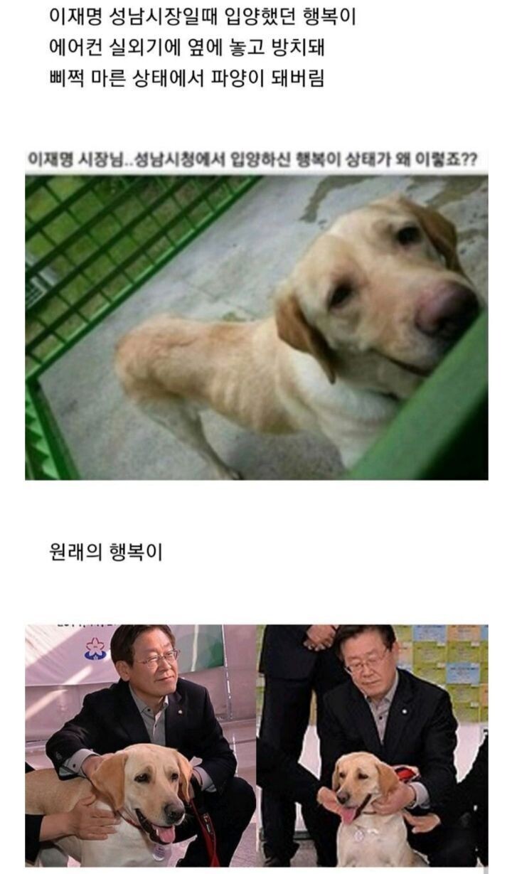 행복이 표정 ㅜㅜ
