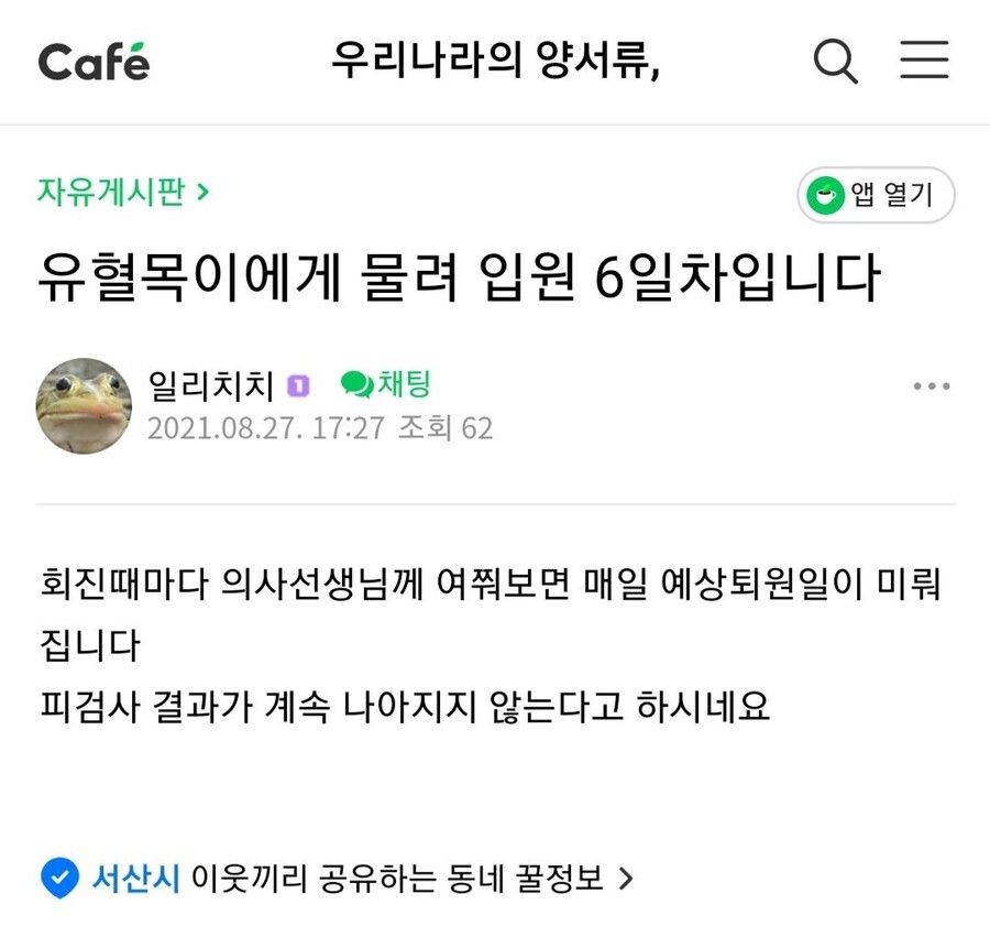 유혈목이에게 물려보기 리뷰_2.jpg