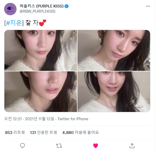 211112.지은.트위터 +.jpg