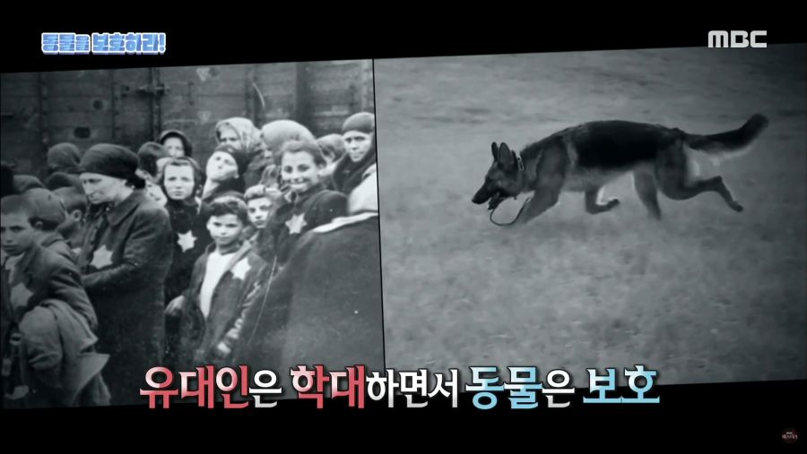 생명을 매우 소중하게 아꼈던 히틀러.jpg_22.jpg