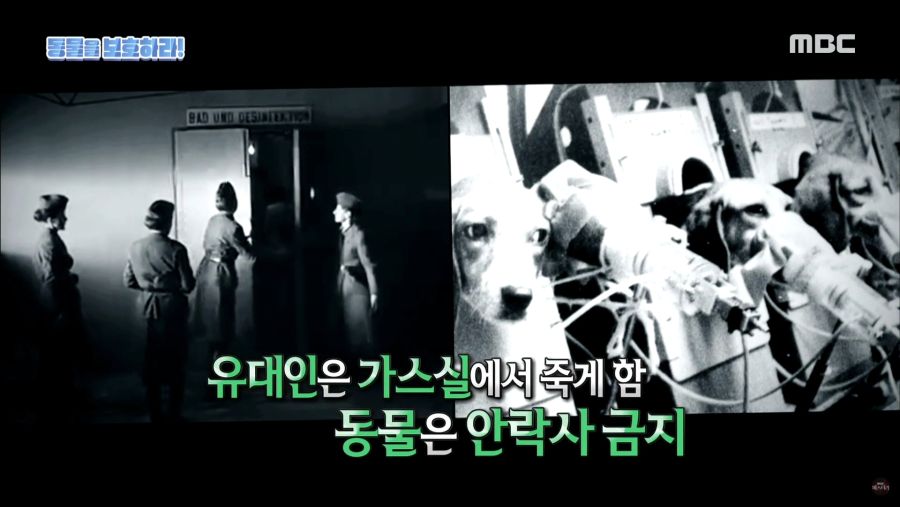 생명을 매우 소중하게 아꼈던 히틀러.jpg_28.jpg