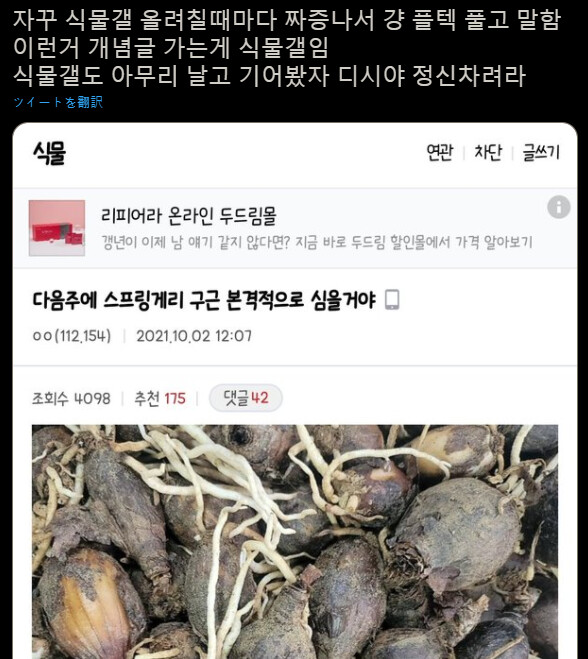 식물갤도 DC쓰레기들이다.JPG_1.png