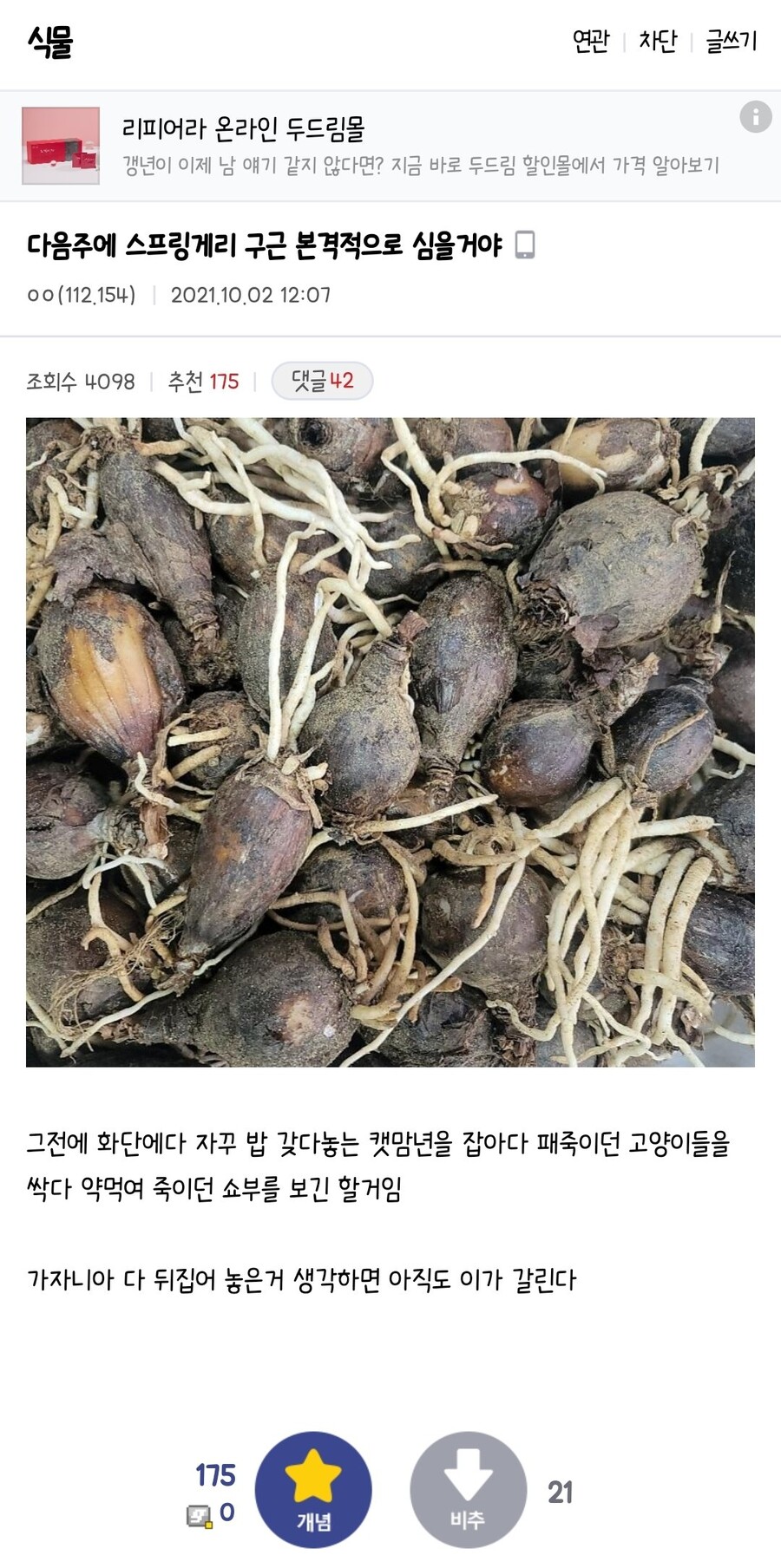 식물갤도 DC쓰레기들이다.JPG_2.jpg